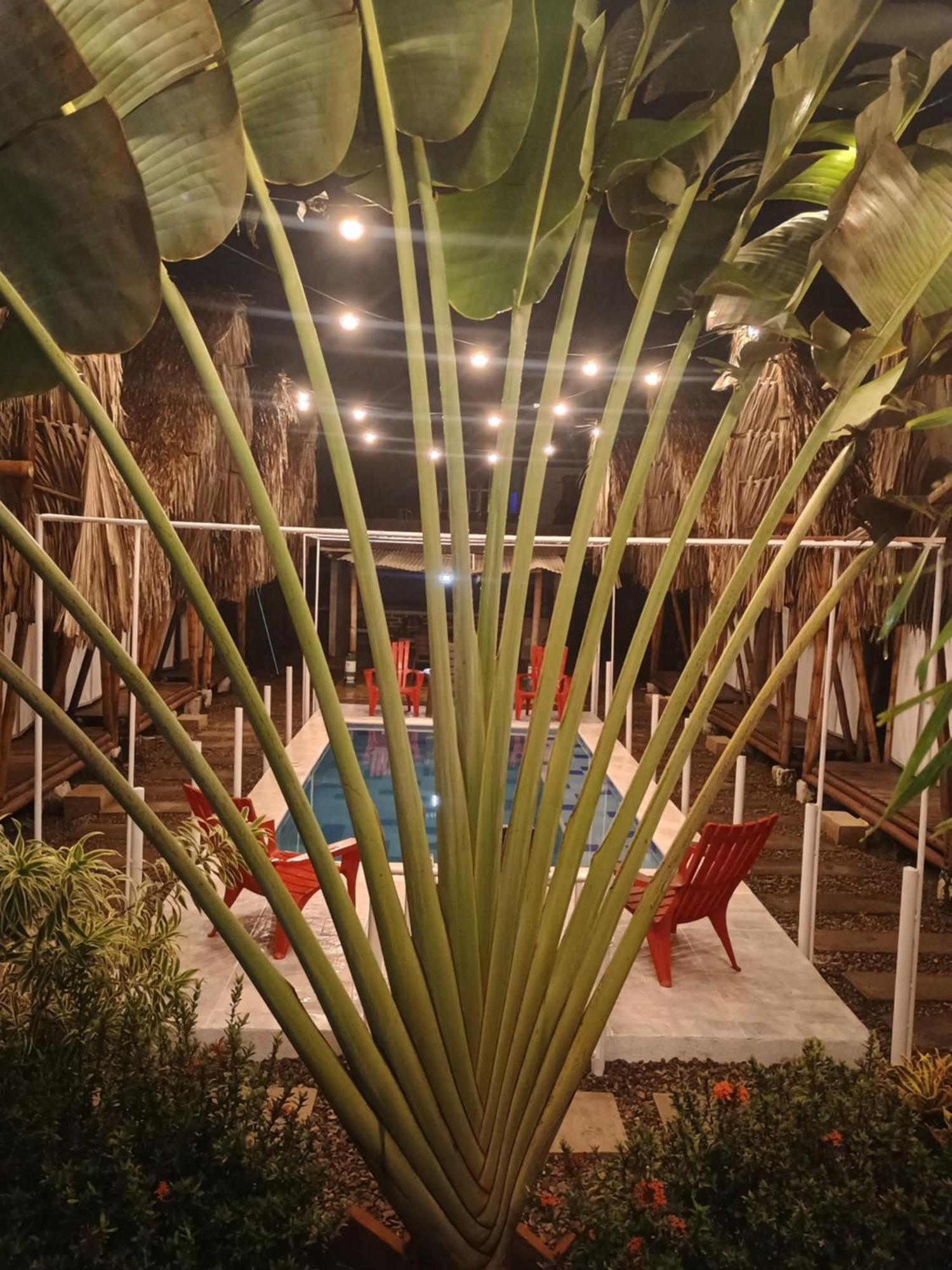 Cabana Beach Palomino酒店 外观 照片